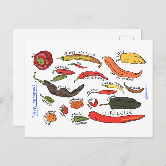 Types of Peppers ポストカード (正面/裏面)