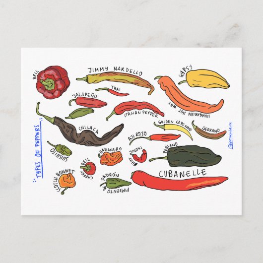 Types of Peppers ポストカード (正面)