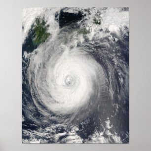 Typhoon Chaba ポスター