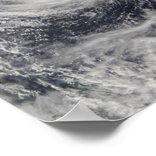 Typhoon Dolphin in the Philippine Sea ポスター (角)