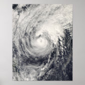 Typhoon Dolphin in the Philippine Sea ポスター (正面)