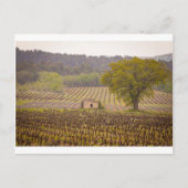 Typically french ポストカード (正面)