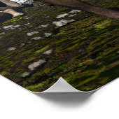 Tyrannosaurus rex attacked by triceratops dinosaur ポスター (角)