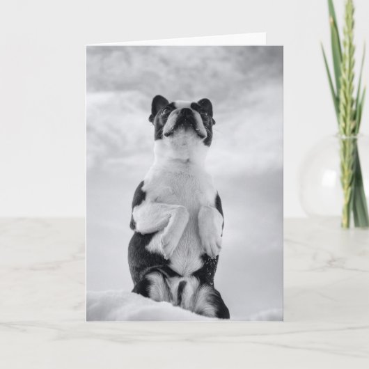 Uの考えること カード (正面)