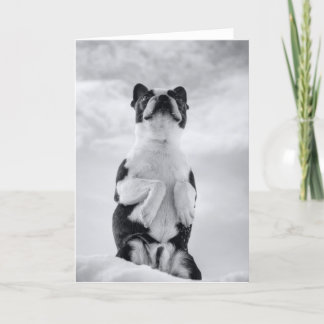 Uの考えること カード