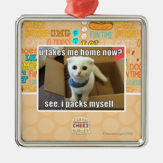 Uは家私を今取りますか。 メタルオーナメント (正面)