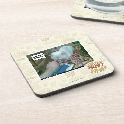 Uは私の顔を押しました! コースター (左側)