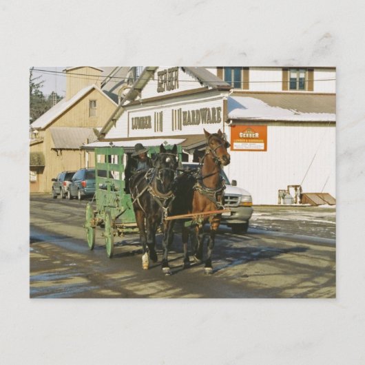 U字船(Amish U-Haul)チームポストカード ポストカード (正面)