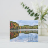 U. P.ミシガン秋反射 ポストカード (スタンド正面)