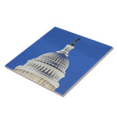 U.S. 国会議事堂のドーム タイル (側面)