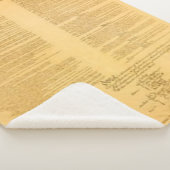 U.S. 憲法 シェルパブランケット (3/4)