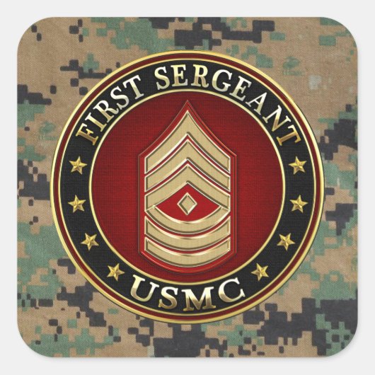 U.S. 海兵隊員: 中隊先任下士官(USMC 1stSgt) [3D] スクエアシール (正面)