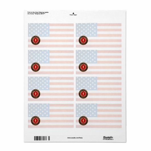 U.S. 海兵隊員: 少尉(USMC 2ndLt) [3D] ラベル (フルシート)