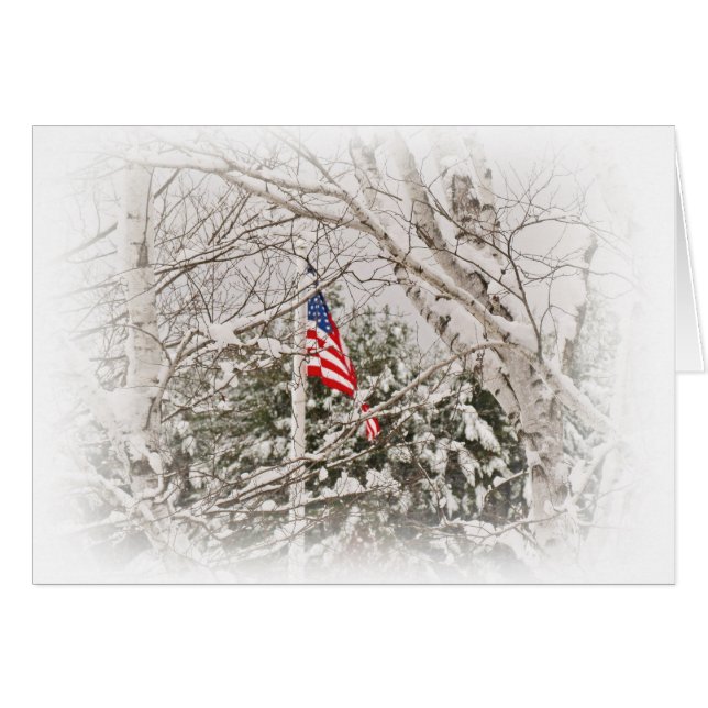 U.S.A. 旗場面 (正面横)