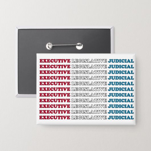 U.S. Checks & Balances 缶バッジ (正面/裏面)