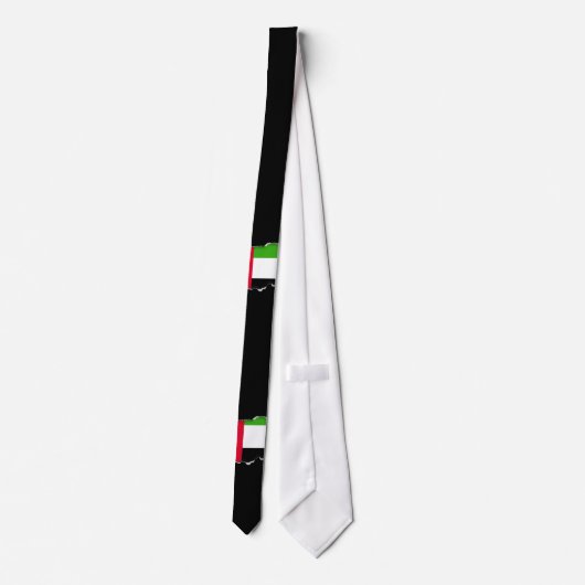 UAE United Arab Emirates Flag ネクタイ (裏面)