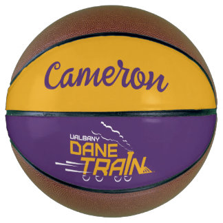 UAlbany Daneトレインのロゴ バスケットボール