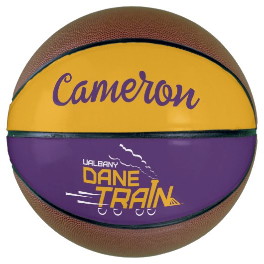 UAlbany Daneトレインのロゴ バスケットボール (正面)