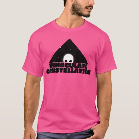 Uapディスクロージャー運動 Tシャツ (正面)