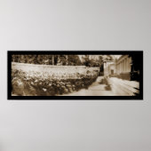 UC Berkeley Gradution写真1906 ポスター (正面)