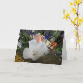 UCSCガーデン・ブーケオーガニック カード (黄色い花)