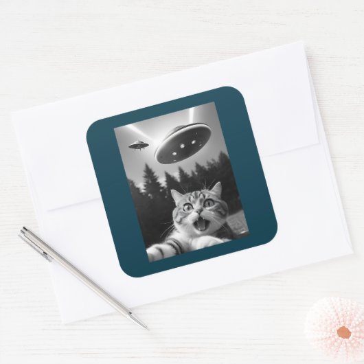 UFOおもしろいエイリアンの猫セルフィー スクエアシール (封筒)