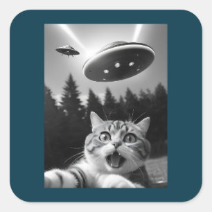 UFOおもしろいエイリアンの猫セルフィー スクエアシール