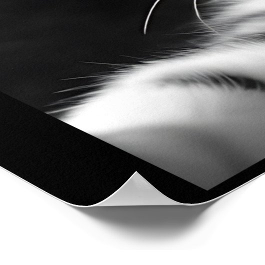 UFOおもしろいエイリアンの猫セルフィー ポスター (角)