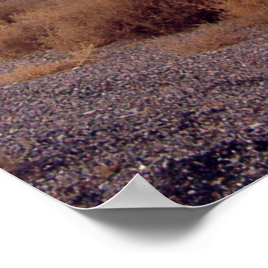 UFOおよびエリア51 ポスター (角)