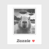 UFOとおもしろいグラフィックCapybara Selfie風変わり シール (シート)