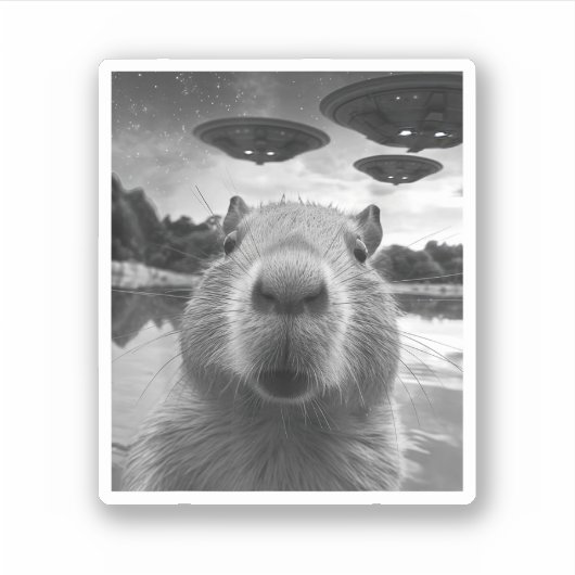 UFOとおもしろいグラフィックCapybara Selfie風変わり シール (正面)