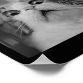 Ufoの猫セルフィー ポスター (角)