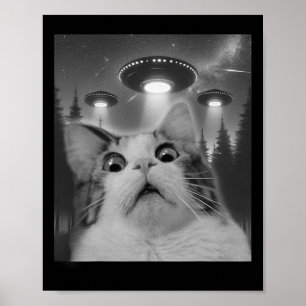 Ufoの猫セルフィー ポスター