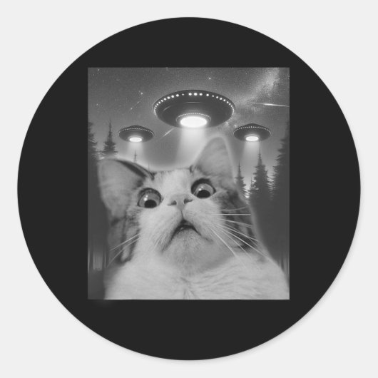 Ufoの猫セルフィー ラウンドシール (正面)