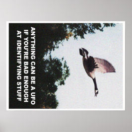 UFOは何でも可能（中） ポスター