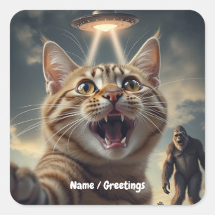 UFOやビッグフットでの自撮りおもしろい猫 スクエアシール