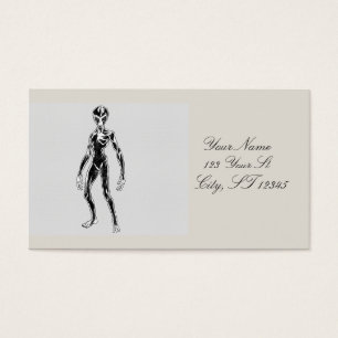 UFOエイリアンサンダー_コーブ