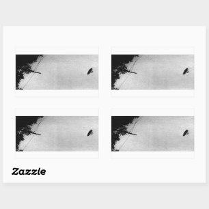 UFOエイリアン地球外宇宙探査機トップの秘密 長方形シール