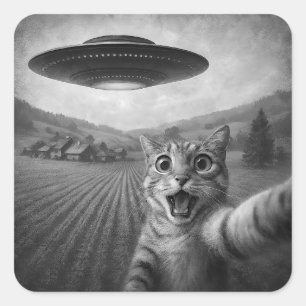 UFOキャットギフト付きエイリアンおもしろい自撮り スクエアシール