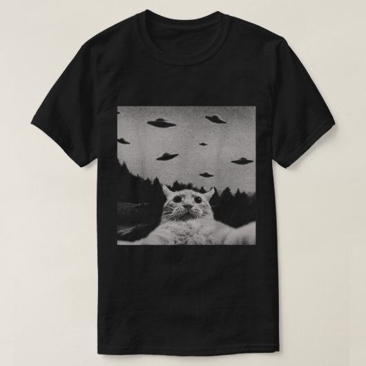 UFO猫遭遇のミームデザイン Tシャツ (デザイン正面)
