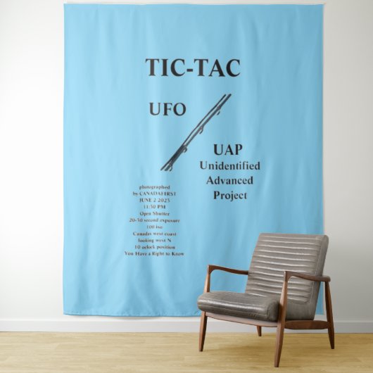 UFO タペストリー (インサイチュ)