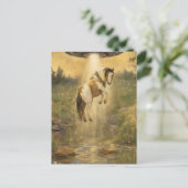 UFO picking up a Gorgeous Gypsy Vanner Horse ポストカード (スタンド正面)