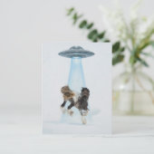 UFO picking up a Gorgeous Horse ポストカード (スタンド正面)