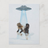 UFO picking up a Gorgeous Horse ポストカード (正面)