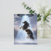 UFO picking up a Spotted Gypsy Vanner Horse ポストカード (スタンド正面)
