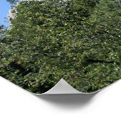 UFO Salamander at Devils Towerポスター ポスター (角)