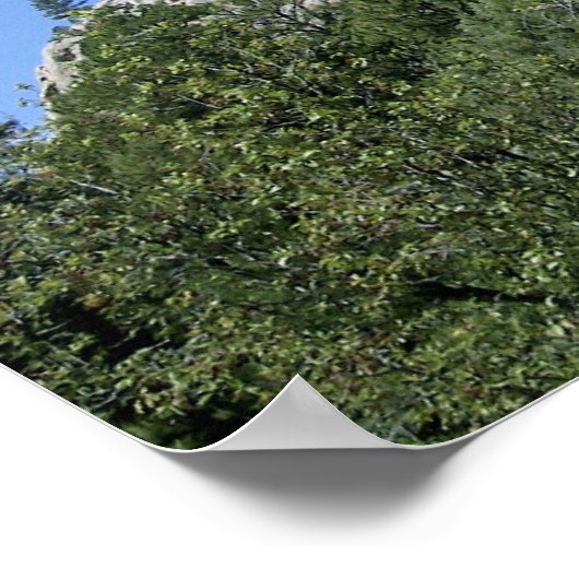 UFO Salamander at Devils Towerポスター ポスター (角)