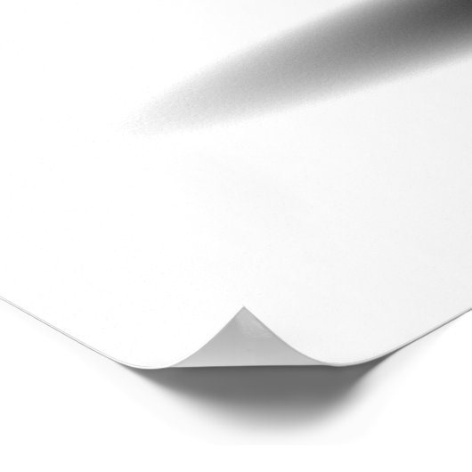 UFO Salamander Poster ポスター (角)