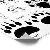 UK/Europe Animalトラック ポスター (角)