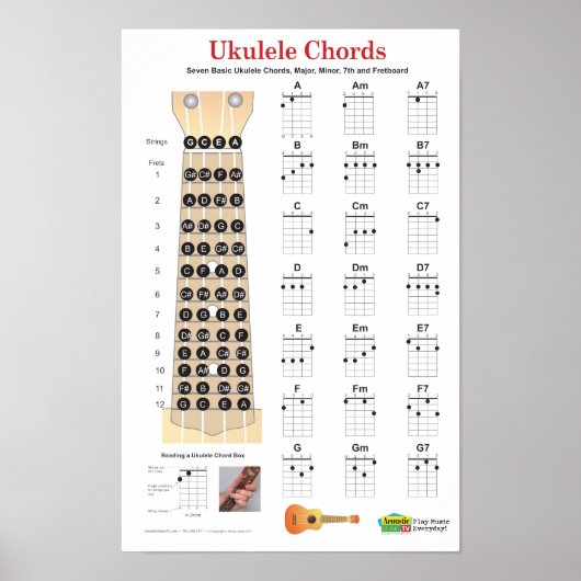 Ukulele Chordsフィンガーチャートとフリーボードポスター ポスター (正面)